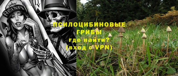 ПСИЛОЦИБИНОВЫЕ ГРИБЫ Армянск